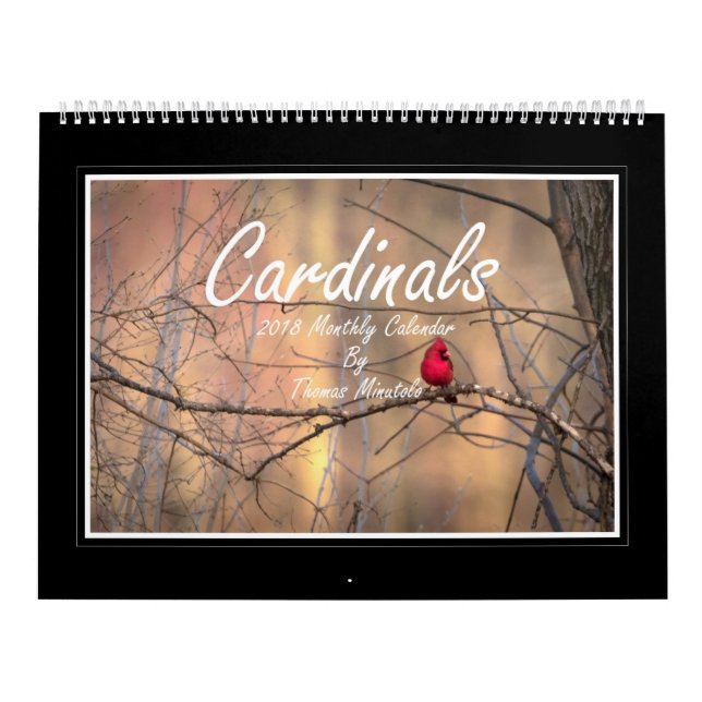 Cardinals 2018 Monthly Calendar By Thomas Minutolo (Cover)