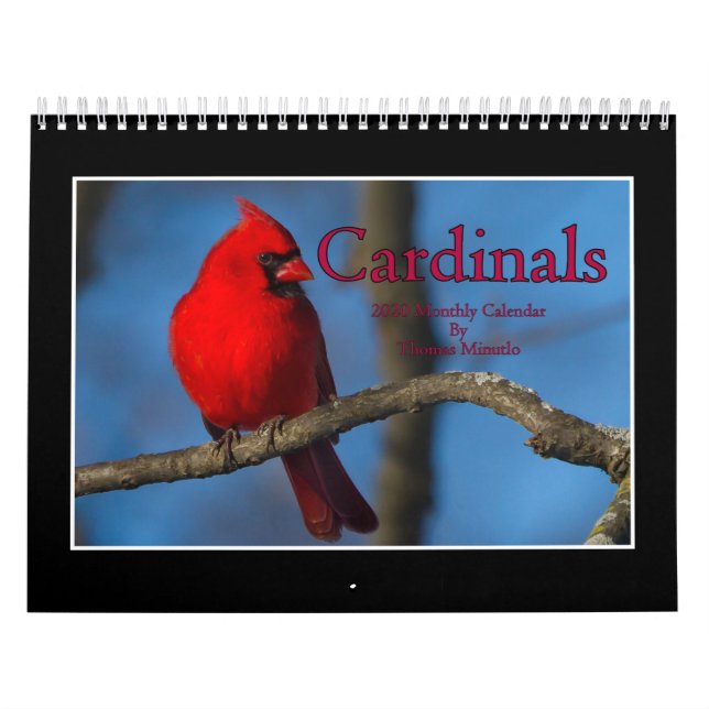 Cardinals 2020 Monthly Calendar By Thomas Minutolo (Cover)