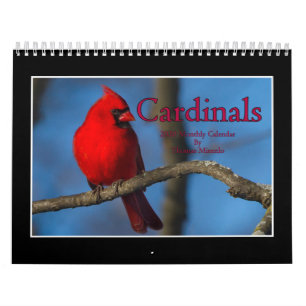Cardinals 2020 Monthly Calendar By Thomas Minutolo