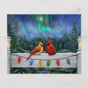 Cardinals and Christmas Lights Winter Snow