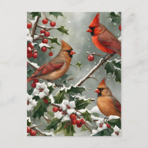 Cardinals and Holly Holiday Postcard