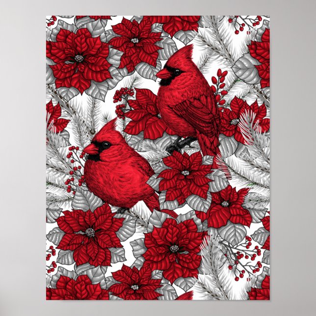 Cardinals and poinsettia in red and white poster (Front)