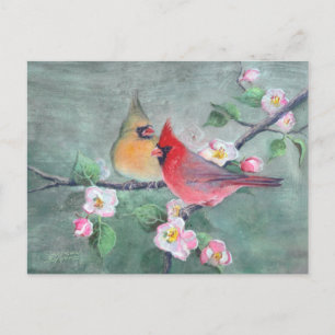 CARDINALS & APPLE BLOSSOMS by SHARON SHARPE Postcard