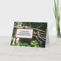 Cardinals Are Near Angels Appear - God's View