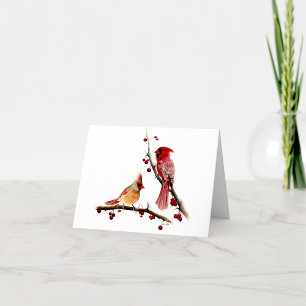 Cardinals Berries Blank Note Or Thank You Card