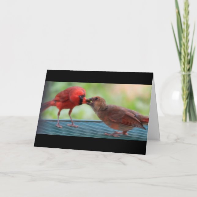 Cardinals Card (Front)