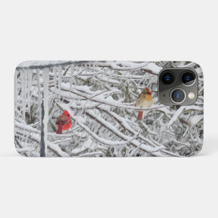 Cardinals iPhone 11 Pro Case