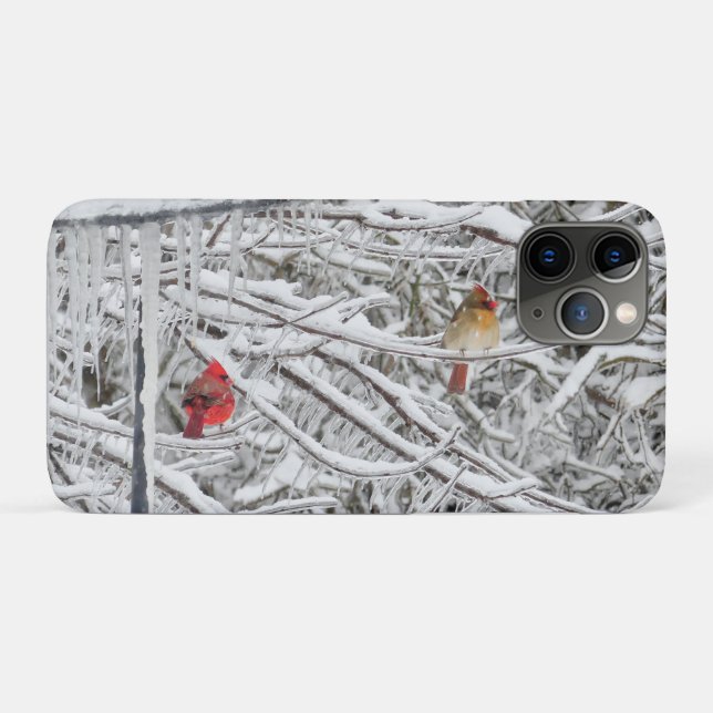 Cardinals Case-Mate iPhone Case (Back (Horizontal))