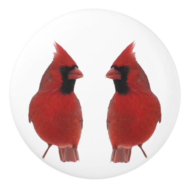 Cardinals Ceramic Knob (Front)