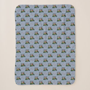 Cardinals Corner Sherpa Blanket (Light Blue)