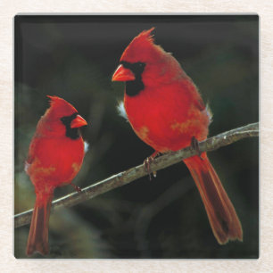 CARDINALS GLASS COASTER