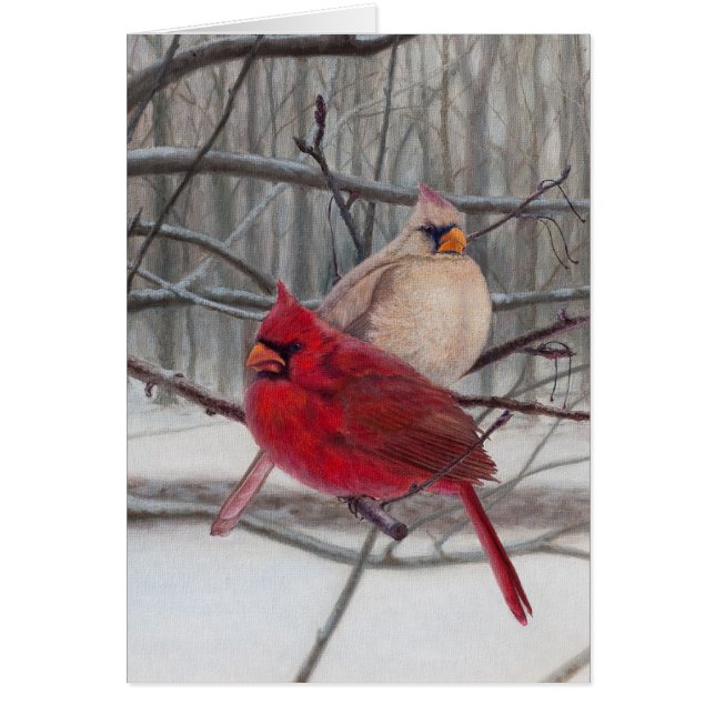 Cardinals in the Snow Blank Card (Front)