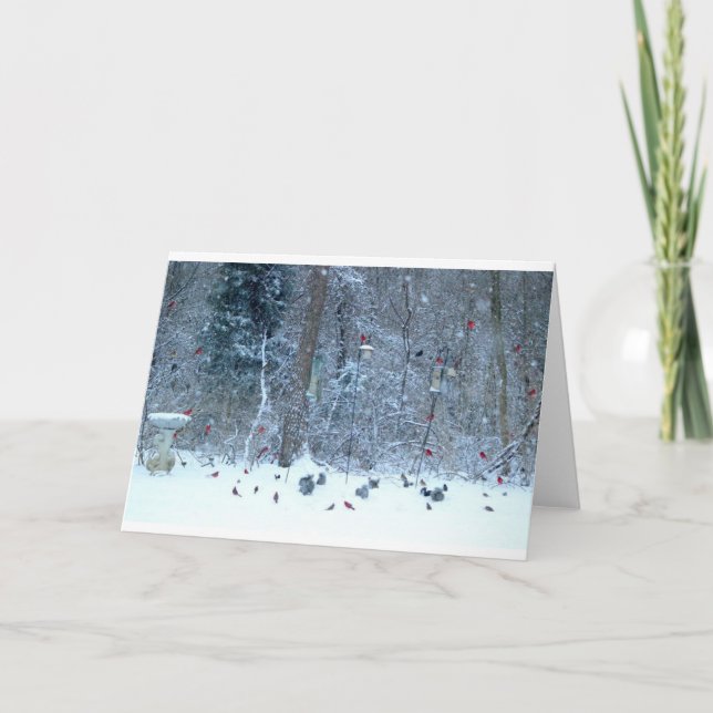 Cardinal's in the Snow Greeting Card (Front)