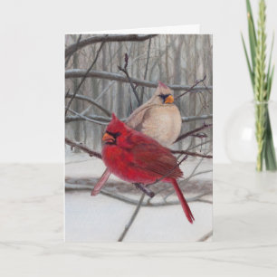 Cardinals in the Snow Holiday Card