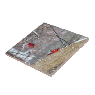 Cardinals in the Snow Tile