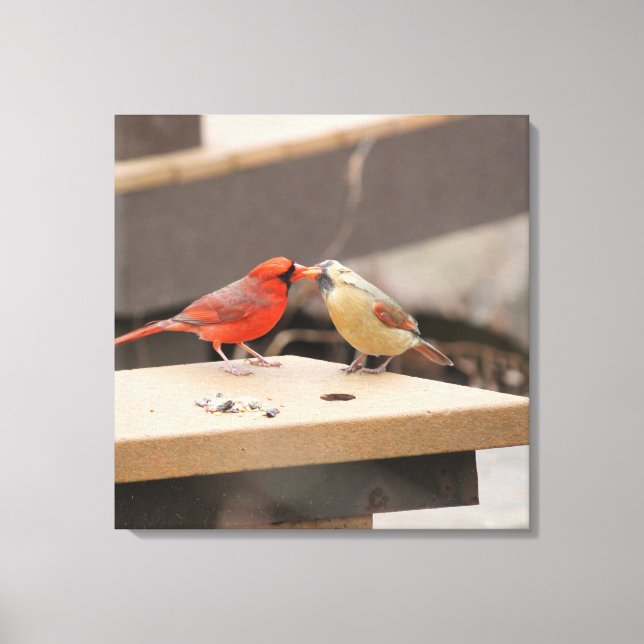 Cardinals Kiss Canvas Print (Front)