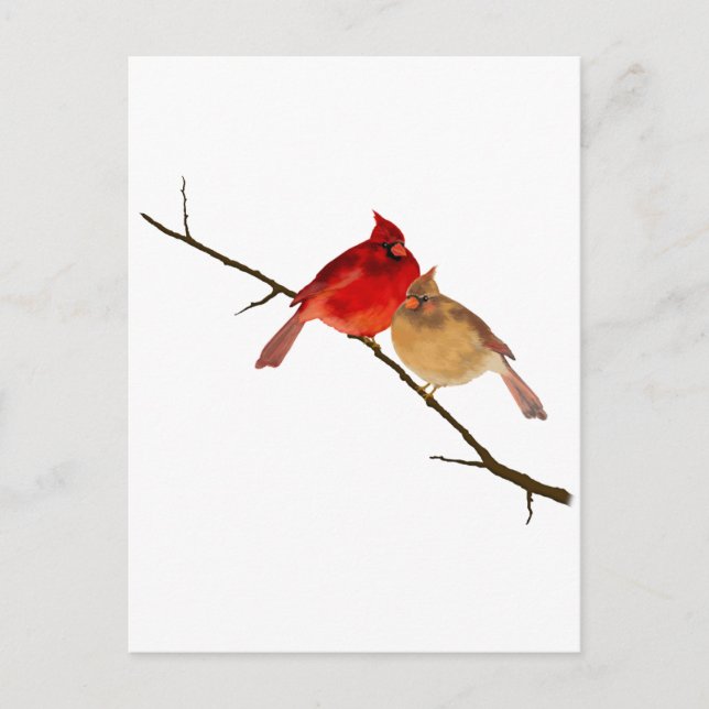 cardinals on a branch postcard (Front)