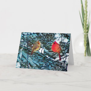 Cardinals winter love,cards holiday card