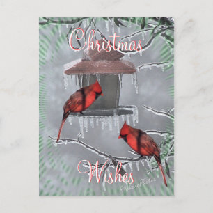 CardinalsIcyFeederPostcard-customise Holiday Postcard