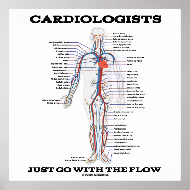 Cardiologists Just Go With The Flow (Circulatory) Poster (Front)