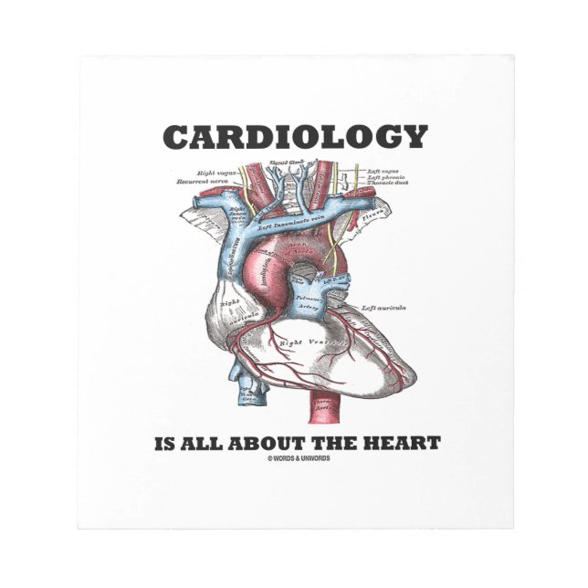 Cardiology Is All About The Heart (Anatomical) Notepad (Front)