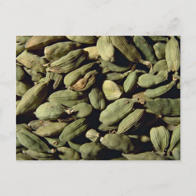 Cardomom seeds postcard (Front)