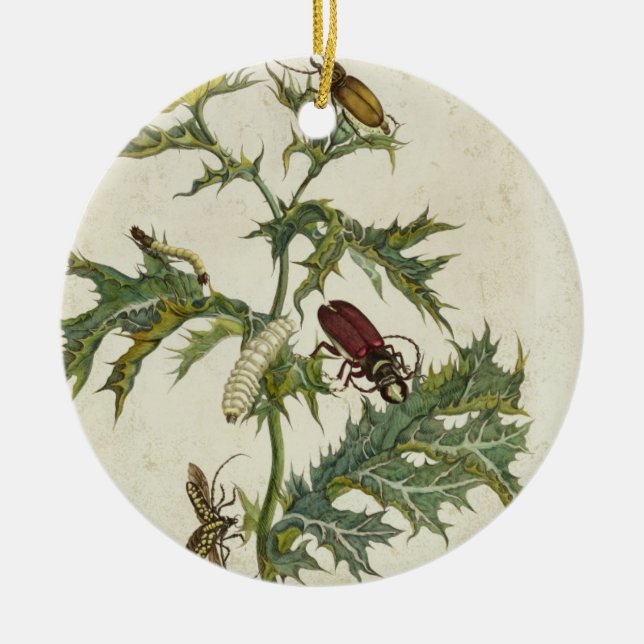 Cardos Spinosus: Beetles and Caterpillars, plate 6 Ceramic Tree Decoration (Front)