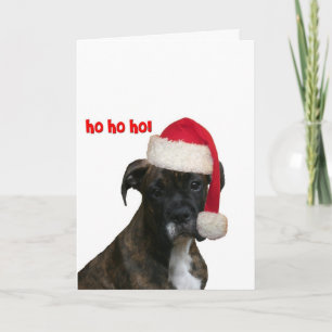 Cards:  Boxer Pup Santa Holiday Card