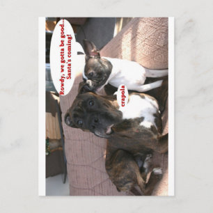 Cards: Crapola Postcard