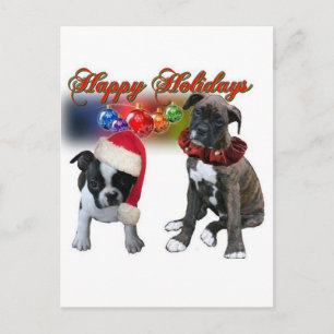 Cards:  Happy Holidays from BT and Boxer puppies Holiday Postcard