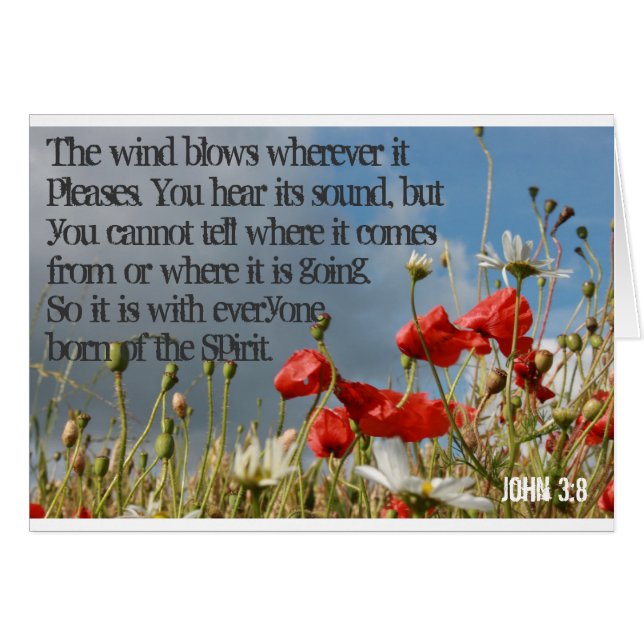 Cards - John 3:8 (Front Horizontal)