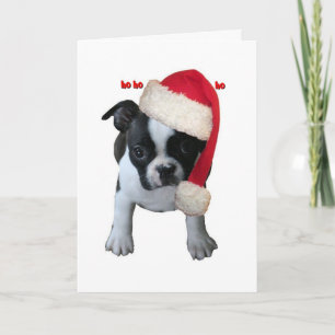 Cards:  Santa baby Holiday Card