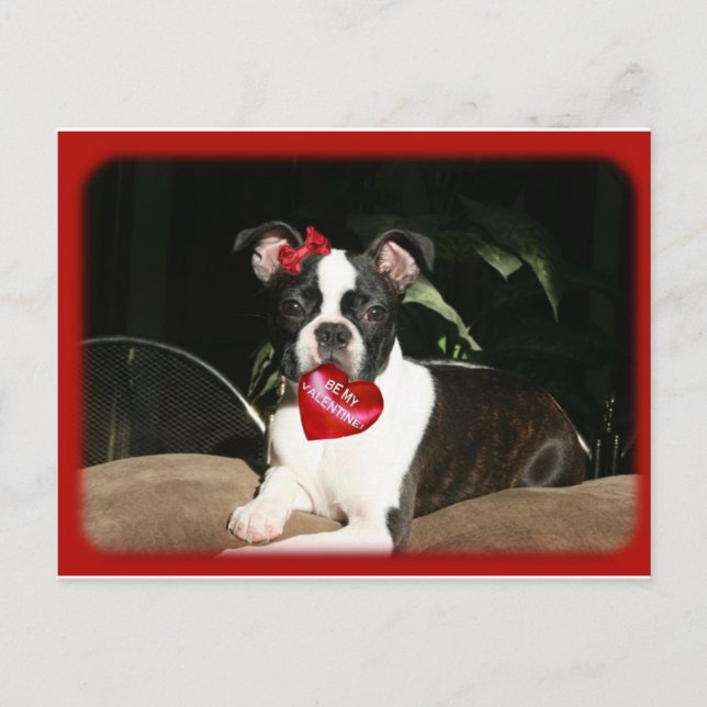 cards: Valentine Boo Holiday Postcard (Front)