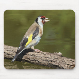 Carduelis carduelis mouse mat
