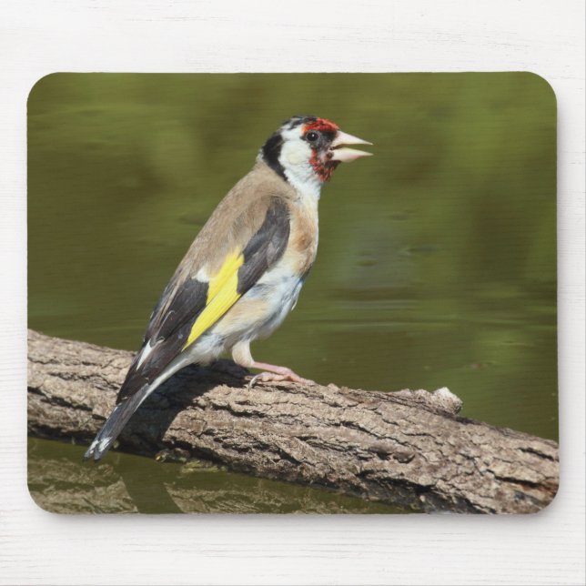 Carduelis carduelis mouse mat (Front)