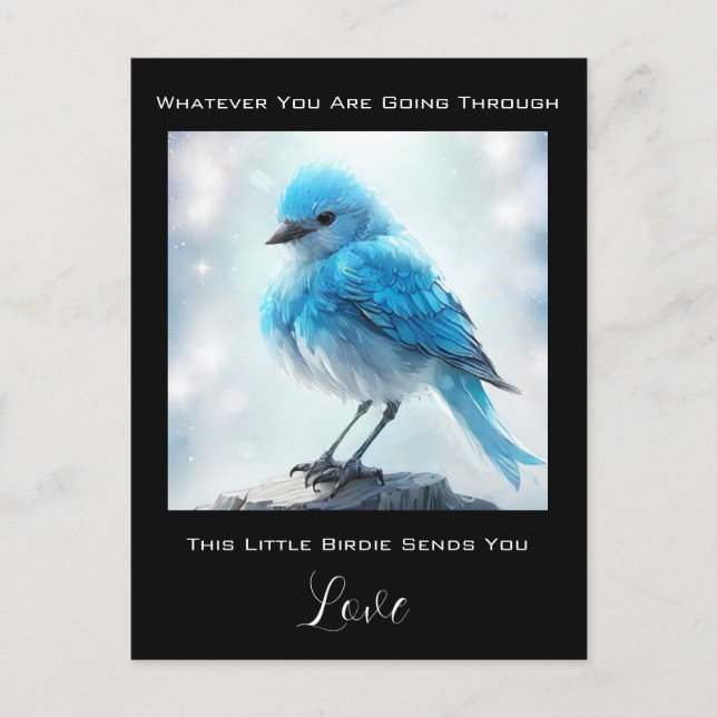 *~* Care Concern Detailed Blue Bird AP54  Postcard (Front)