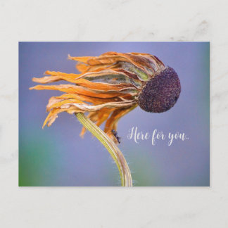 Care Concern Sentiment Here for You Postcard