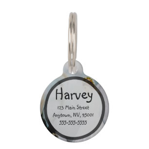 Care Guardian Angel and White Owl by Amelia Carrie Pet Tag