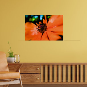 Carefree Spring Dayz - Large Format - Customised Poster