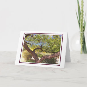 Carefree Tree Blank Card