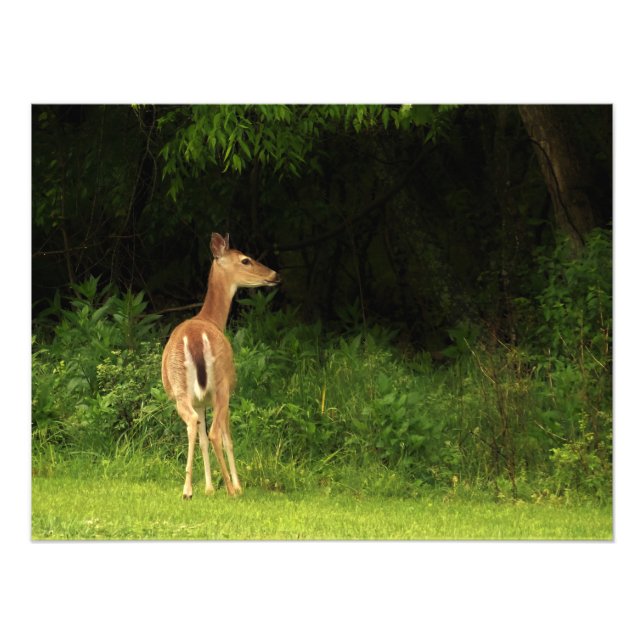 Careful Consideration Photo Print (Front)