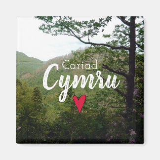 Cariad Cymru Wales Hill Landscape Devils Bridge Magnet