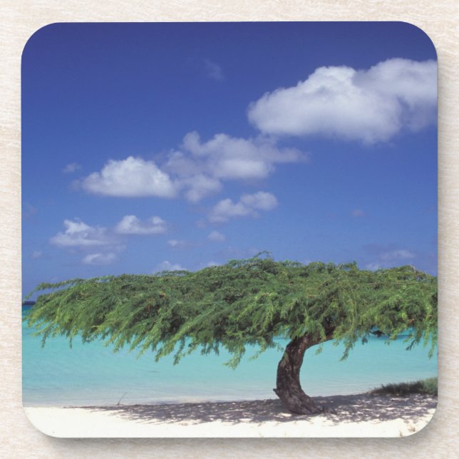 Caribbean, Aruba. Eagle Beach Coaster (Front)