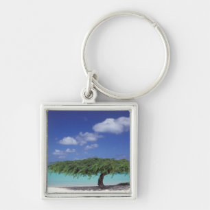 Caribbean, Aruba. Eagle Beach Key Ring