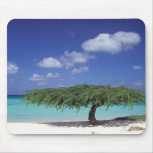 Caribbean, Aruba. Eagle Beach Mouse Mat