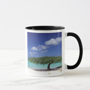 Caribbean, Aruba. Eagle Beach Mug