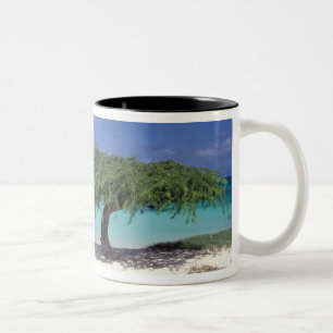 Caribbean, Aruba. Eagle Beach Two-Tone Coffee Mug