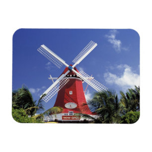 Caribbean, Aruba. Old Mill, converted into 'Mill Magnet
