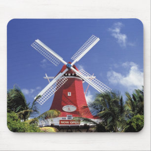 Caribbean, Aruba. Old Mill, converted into 'Mill Mouse Mat