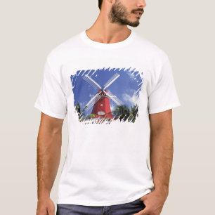 Caribbean, Aruba. Old Mill, converted into 'Mill T-Shirt